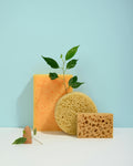 Konjac facial sponge — 100% natural plant-based daily cleanser