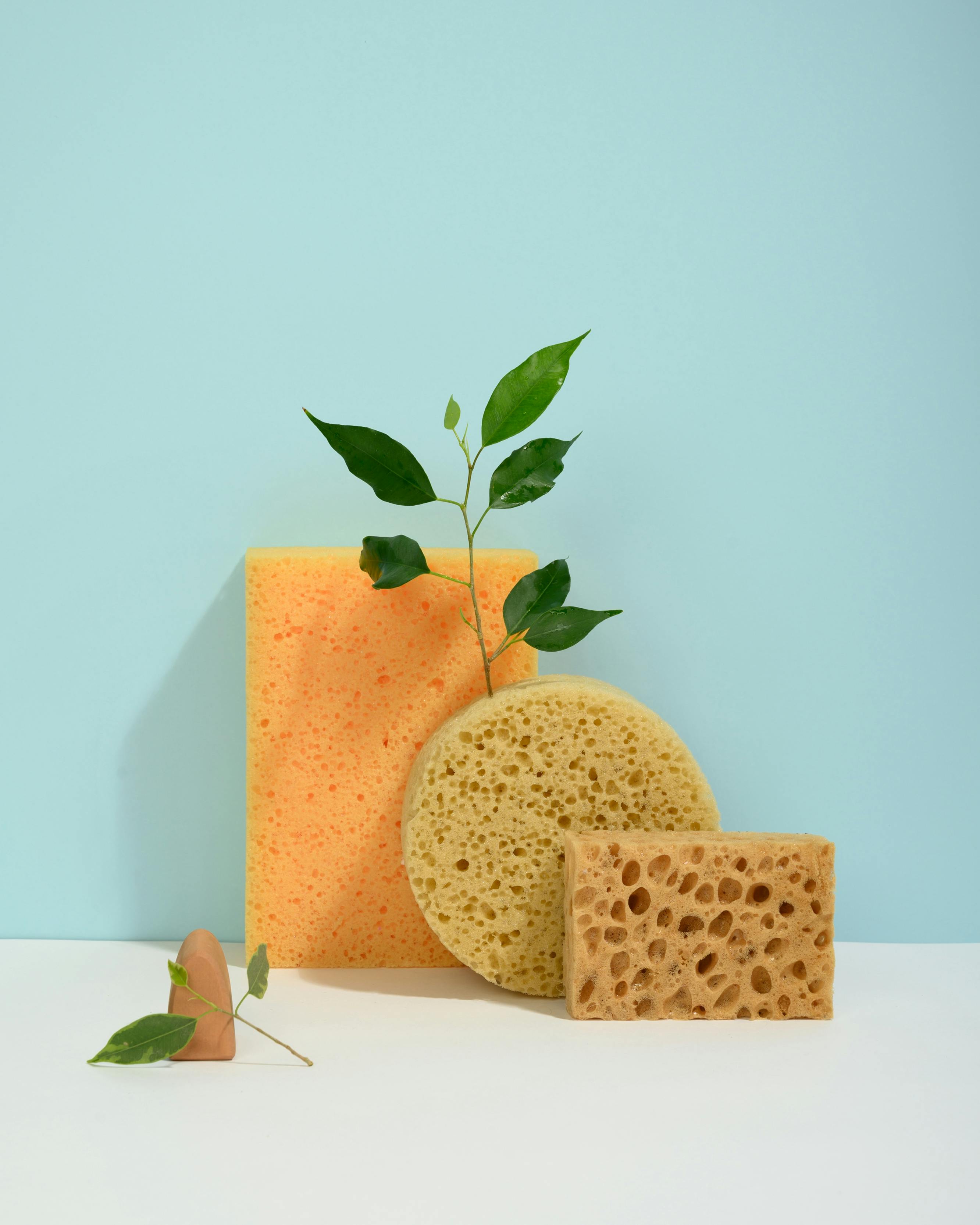 Konjac facial sponge — 100% natural plant-based daily cleanser